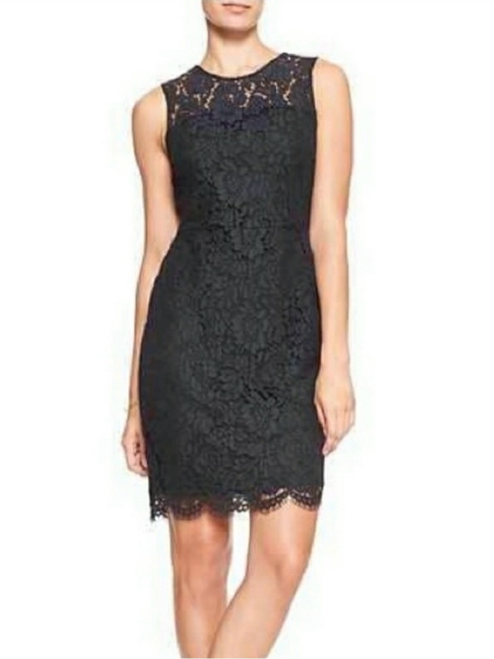 Banana Republic Navy Classic Lace Midi Sheath Dress - Elegant - Size 4
